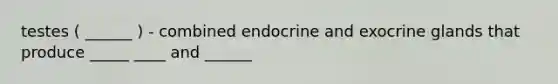 testes ( ______ ) - combined endocrine and exocrine glands that produce _____ ____ and ______