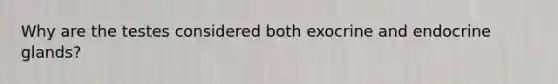 Why are the testes considered both exocrine and endocrine glands?