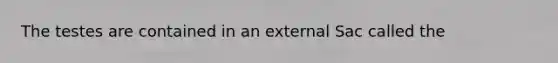 The testes are contained in an external Sac called the