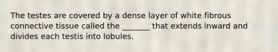 The testes are covered by a dense layer of white fibrous connective tissue called the _______ that extends inward and divides each testis into lobules.