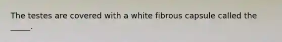 The testes are covered with a white fibrous capsule called the _____.