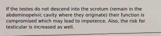 If the testes do not descend into the scrotum (remain in the abdominopelvic cavity where they originate) their function is compromised which may lead to impotence. Also, the risk for testicular is increased as well.