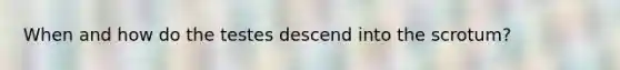 When and how do the testes descend into the scrotum?