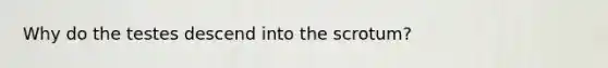 Why do the testes descend into the scrotum?