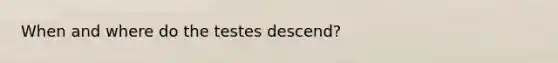 When and where do the testes descend?