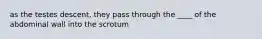 as the testes descent, they pass through the ____ of the abdominal wall into the scrotum