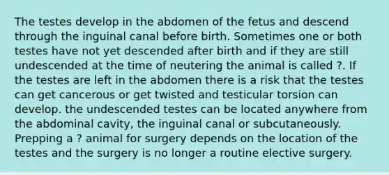 The testes develop in the abdomen of the fetus and descend through the inguinal canal before birth. Sometimes one or both testes have not yet descended after birth and if they are still undescended at the time of neutering the animal is called ?. If the testes are left in the abdomen there is a risk that the testes can get cancerous or get twisted and testicular torsion can develop. the undescended testes can be located anywhere from the abdominal cavity, the inguinal canal or subcutaneously. Prepping a ? animal for surgery depends on the location of the testes and the surgery is no longer a routine elective surgery.