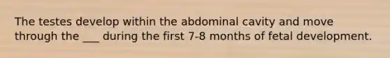 The testes develop within the abdominal cavity and move through the ___ during the first 7-8 months of fetal development.