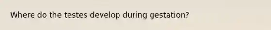 Where do the testes develop during gestation?