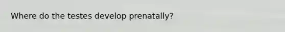 Where do the testes develop prenatally?