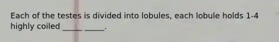 Each of the testes is divided into lobules, each lobule holds 1-4 highly coiled _____ _____.