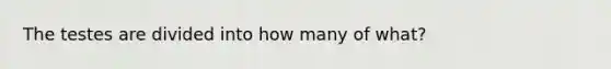 The testes are divided into how many of what?