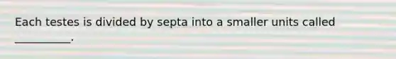 Each testes is divided by septa into a smaller units called __________.