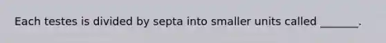 Each testes is divided by septa into smaller units called _______.