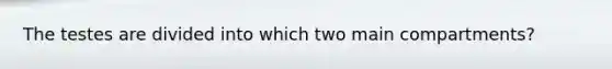 The testes are divided into which two main compartments?