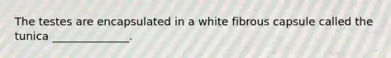 The testes are encapsulated in a white fibrous capsule called the tunica ______________.
