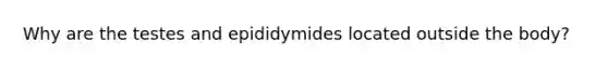 Why are the testes and epididymides located outside the body?