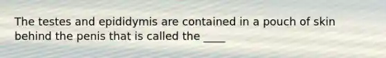 The testes and epididymis are contained in a pouch of skin behind the penis that is called the ____