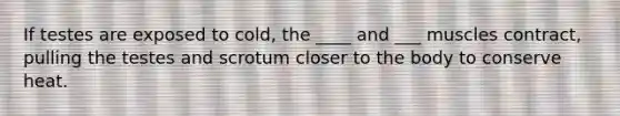 If testes are exposed to cold, the ____ and ___ muscles contract, pulling the testes and scrotum closer to the body to conserve heat.