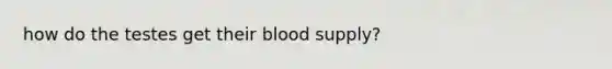 how do the testes get their blood supply?