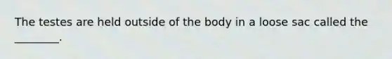 The testes are held outside of the body in a loose sac called the ________.