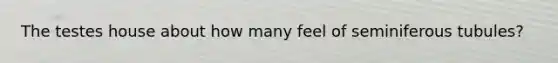 The testes house about how many feel of seminiferous tubules?