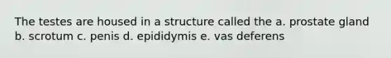 The testes are housed in a structure called the a. prostate gland b. scrotum c. penis d. epididymis e. vas deferens