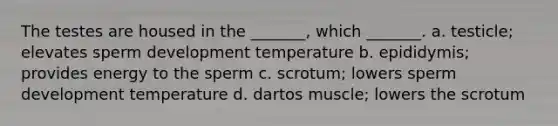 The testes are housed in the _______, which _______. a. testicle; elevates sperm development temperature b. epididymis; provides energy to the sperm c. scrotum; lowers sperm development temperature d. dartos muscle; lowers the scrotum