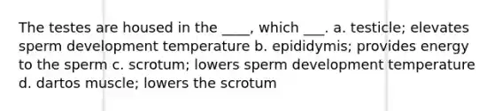 The testes are housed in the ____, which ___. a. testicle; elevates sperm development temperature b. epididymis; provides energy to the sperm c. scrotum; lowers sperm development temperature d. dartos muscle; lowers the scrotum