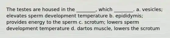 The testes are housed in the ________, which ________. a. vesicles; elevates sperm development temperature b. epididymis; provides energy to the sperm c. scrotum; lowers sperm development temperature d. dartos muscle, lowers the scrotum