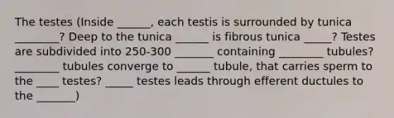 The testes (Inside ______, each testis is surrounded by tunica ________? Deep to the tunica ______ is fibrous tunica _____? Testes are subdivided into 250-300 _______ containing ________ tubules? ________ tubules converge to ______ tubule, that carries sperm to the ____ testes? _____ testes leads through efferent ductules to the _______)