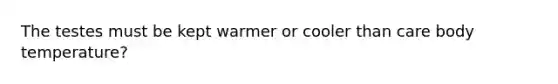 The testes must be kept warmer or cooler than care body temperature?