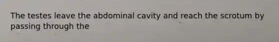 The testes leave the abdominal cavity and reach the scrotum by passing through the