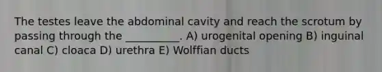 The testes leave the abdominal cavity and reach the scrotum by passing through the __________. A) urogenital opening B) inguinal canal C) cloaca D) urethra E) Wolffian ducts