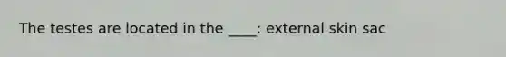 The testes are located in the ____: external skin sac