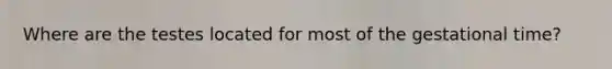 Where are the testes located for most of the gestational time?