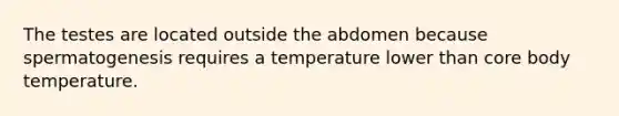 The testes are located outside the abdomen because spermatogenesis requires a temperature lower than core body temperature.