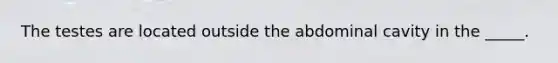 The testes are located outside the abdominal cavity in the _____.