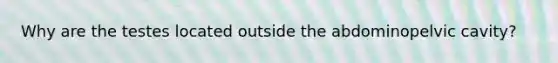 Why are the testes located outside the abdominopelvic cavity?