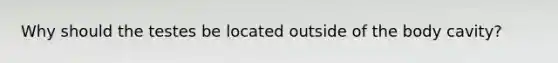 Why should the testes be located outside of the body cavity?