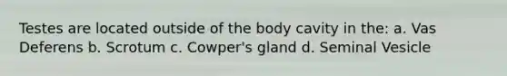 Testes are located outside of the body cavity in the: a. Vas Deferens b. Scrotum c. Cowper's gland d. Seminal Vesicle