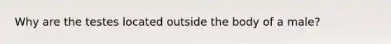 Why are the testes located outside the body of a male?