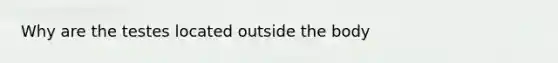 Why are the testes located outside the body