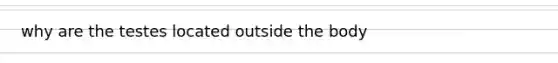 why are the testes located outside the body