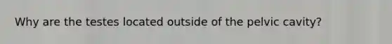 Why are the testes located outside of the pelvic cavity?