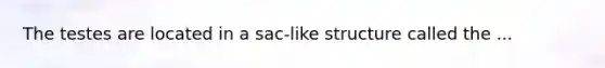 The testes are located in a sac-like structure called the ...