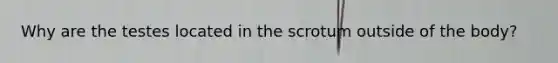 Why are the testes located in the scrotum outside of the body?