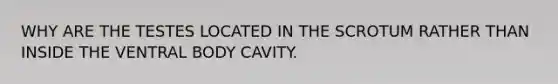 WHY ARE THE TESTES LOCATED IN THE SCROTUM RATHER THAN INSIDE THE VENTRAL BODY CAVITY.