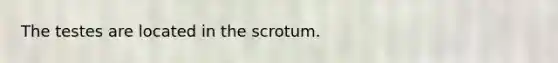 The testes are located in the scrotum.