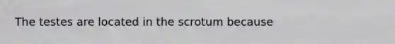 The testes are located in the scrotum because